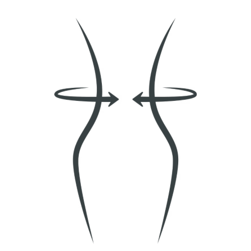 Lam fit logo 2